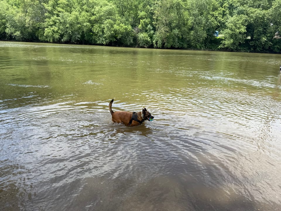 Caching, Hiking, and a Soaked Malinois