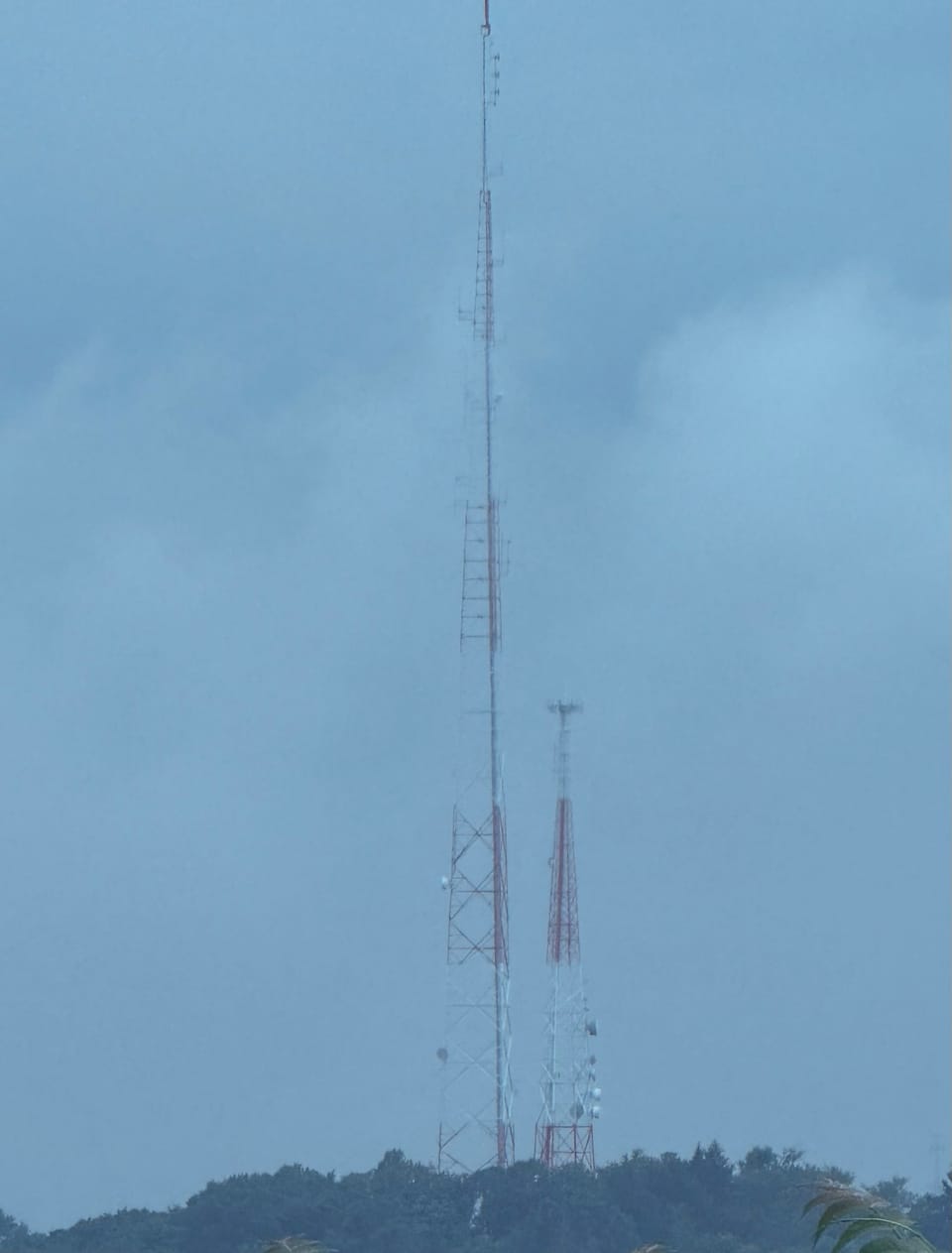 Sentinels in the Mist