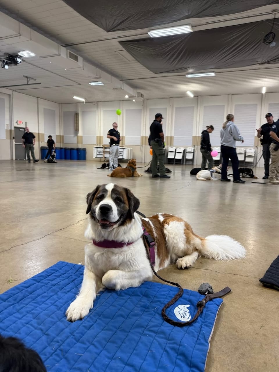 Paws on Patrol: Jersey Represents Belmont County in Columbus