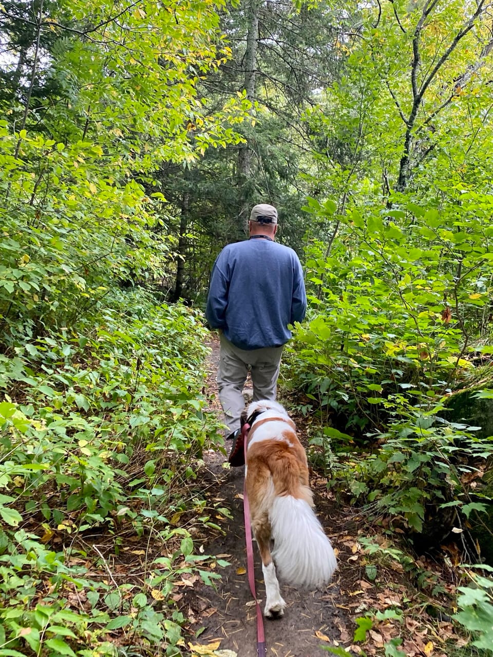 Tech Meets Trees: Why Geocaching is My Escape